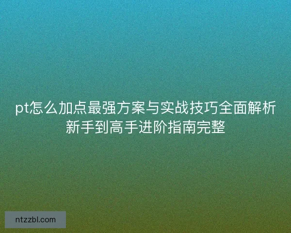 pt怎么加点最强方案与实战技巧全面解析新手到高手进阶指南完整