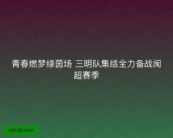 青春燃梦绿茵场 三明队集结全力备战闽超赛季