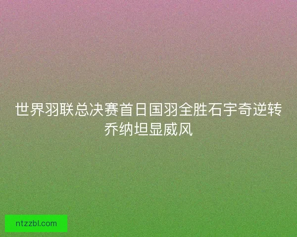 世界羽联总决赛首日国羽全胜石宇奇逆转乔纳坦显威风